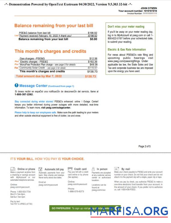 Realistic USA New York PSEG utility bill, Word and PDF template, 5 pages 2